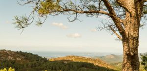 concello-de-tui-turismo-aloia (23)
